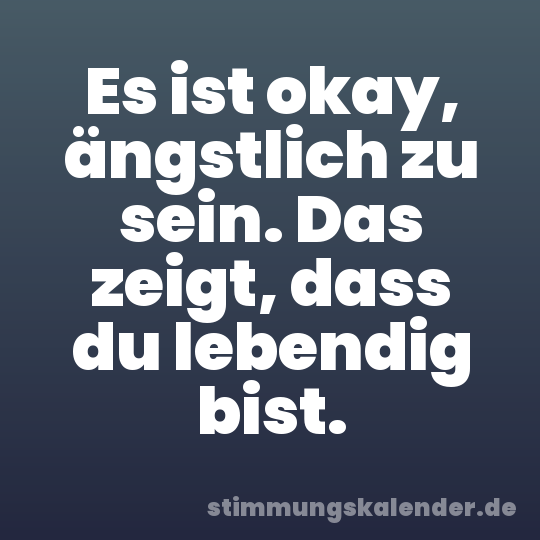 Es ist okay, ängstlich zu sein. Das zeigt, dass du lebendig bist.