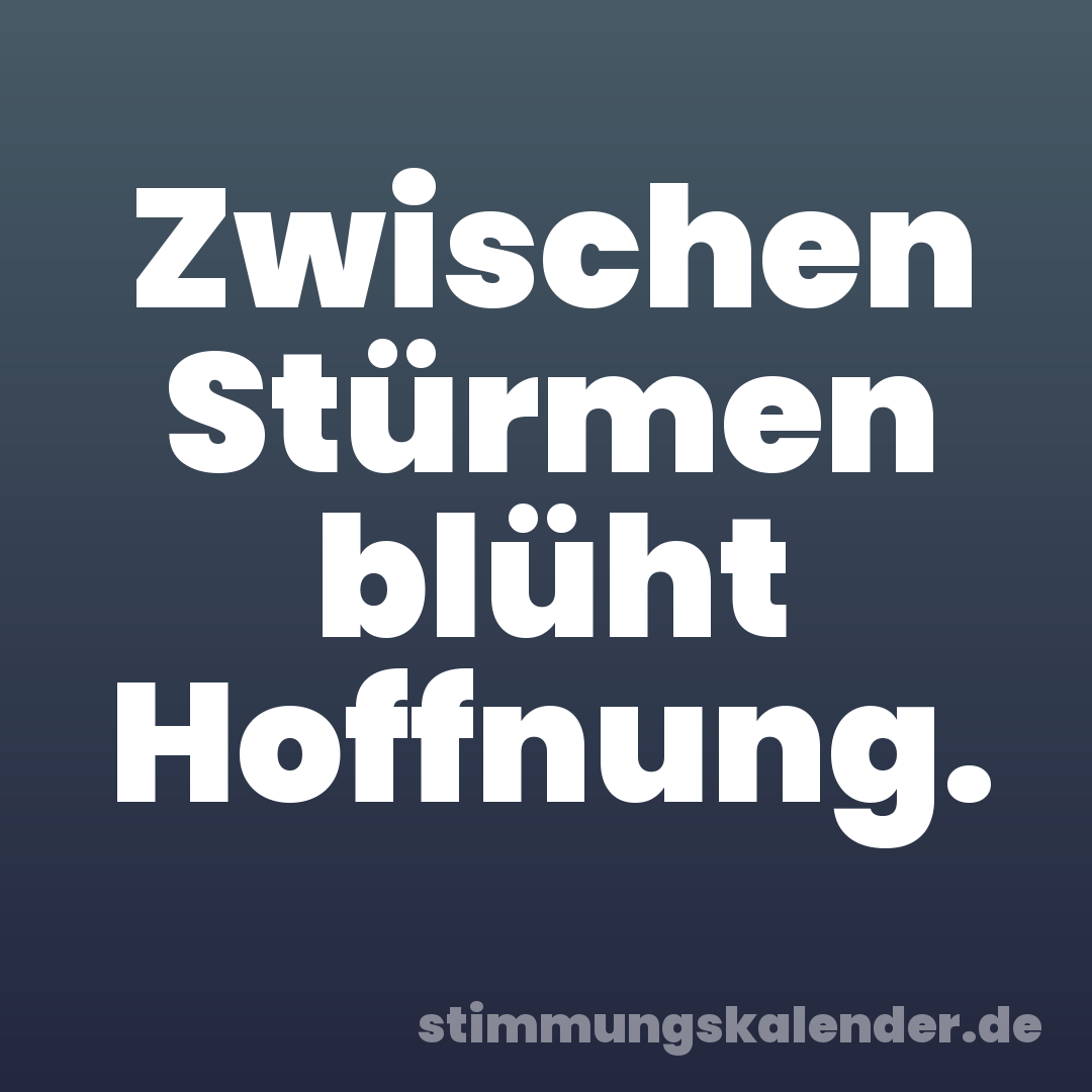 Zwischen Stürmen blüht Hoffnung.