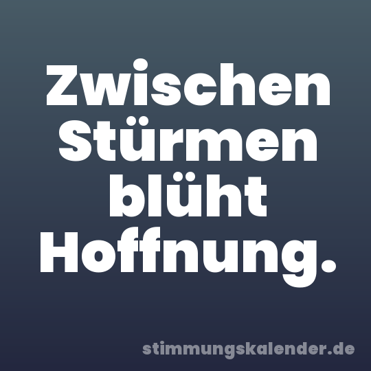 Zwischen Stürmen blüht Hoffnung.