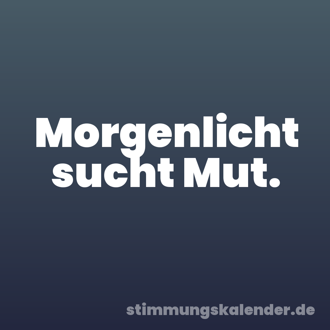 Morgenlicht sucht Mut.