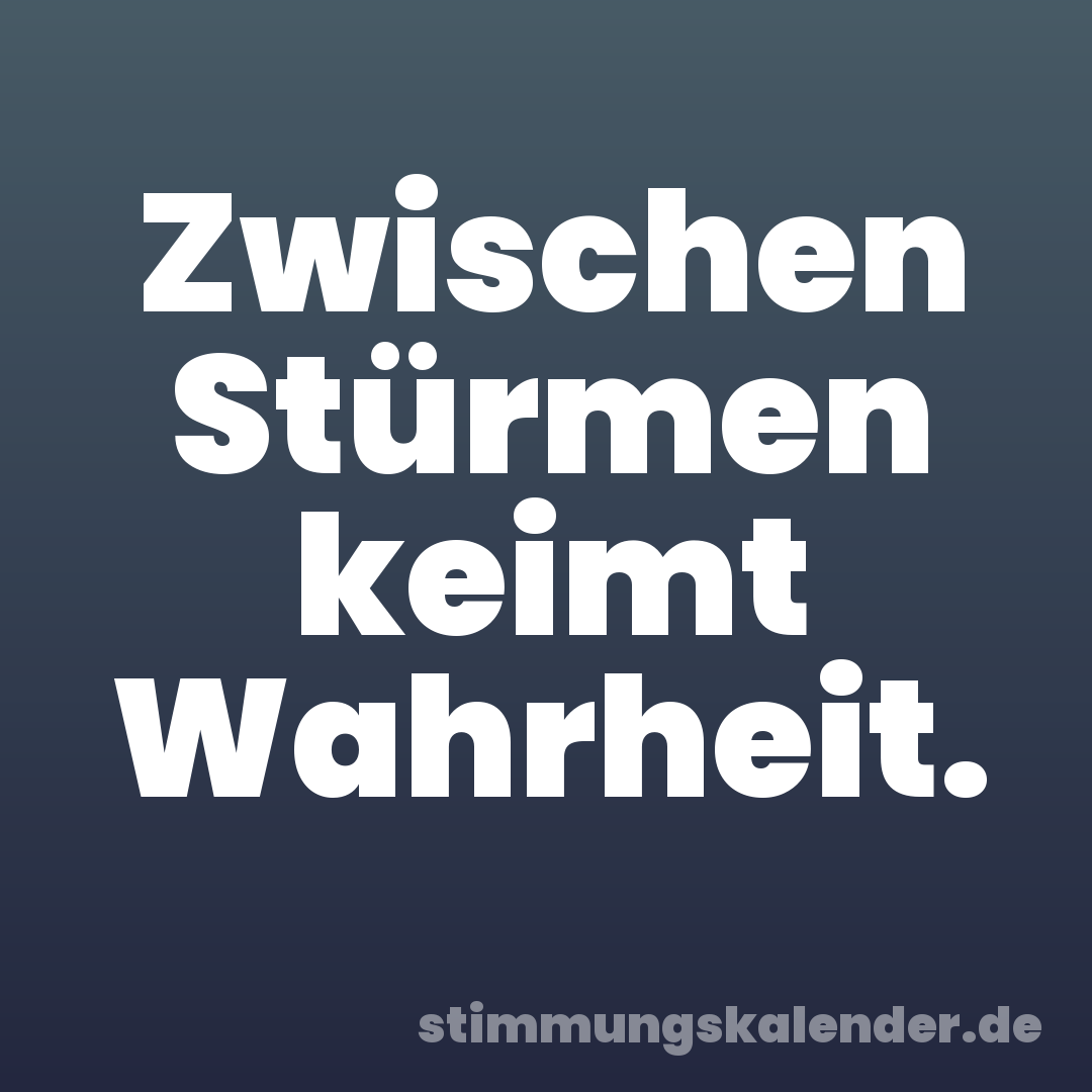 Zwischen Stürmen keimt Wahrheit.
