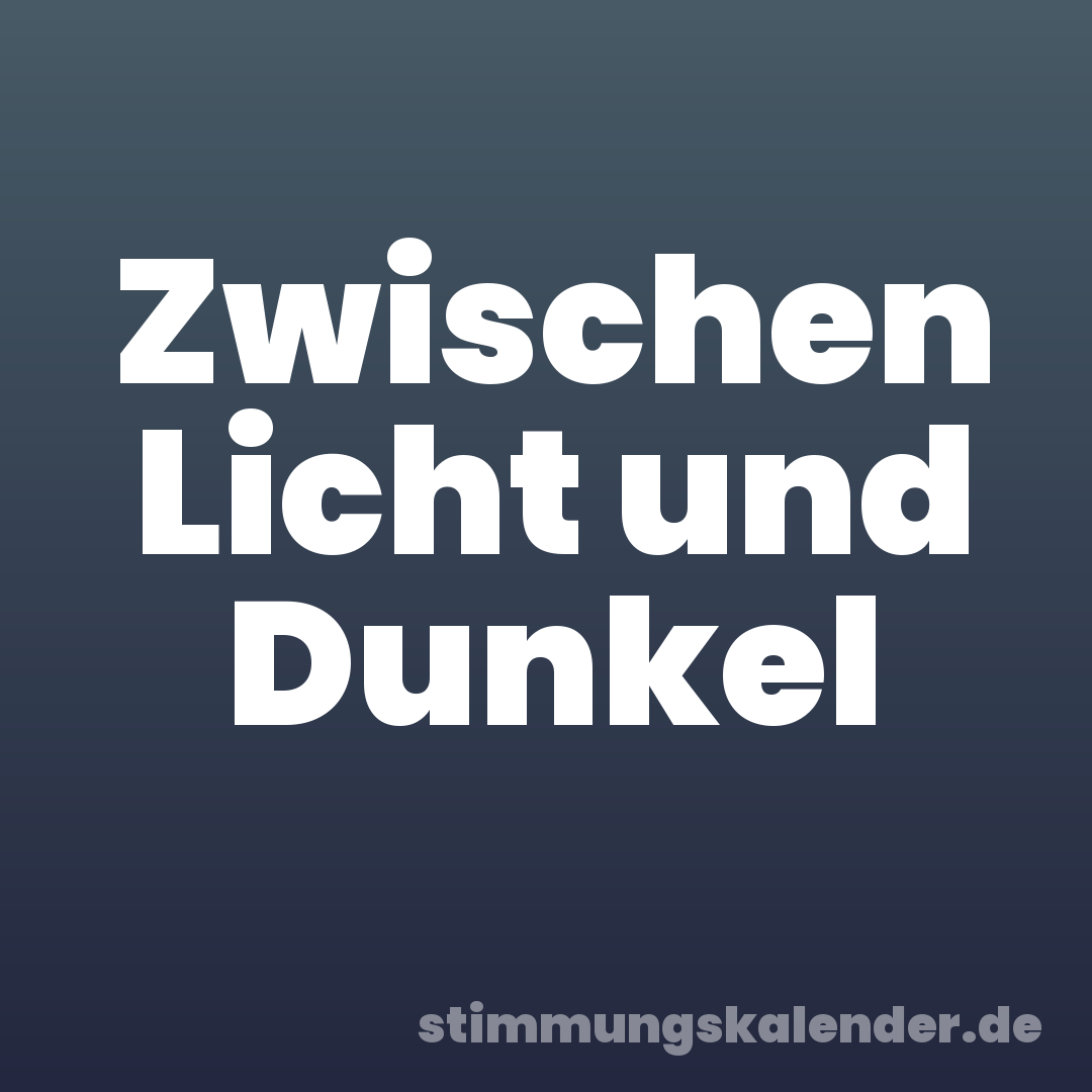 Zwischen Licht und Dunkel