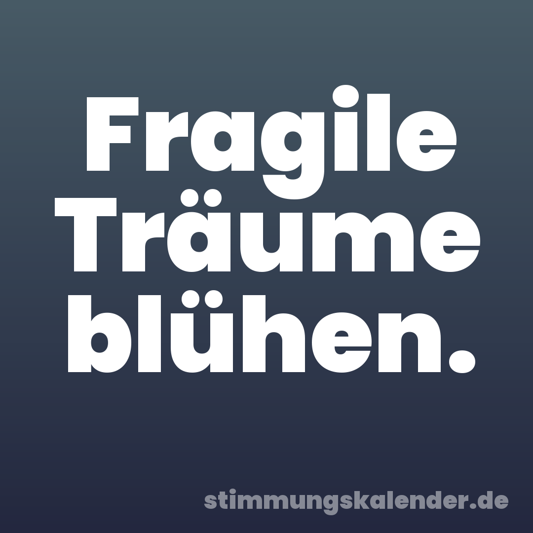 Fragile Träume blühen.