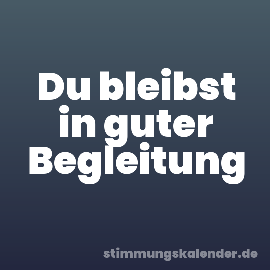 Du bleibst in guter Begleitung