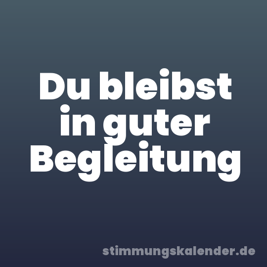 Du bleibst in guter Begleitung