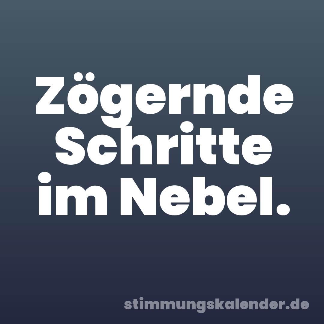 Zögernde Schritte im Nebel.