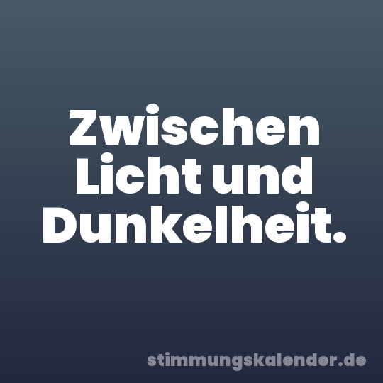 Zwischen Licht und Dunkelheit.