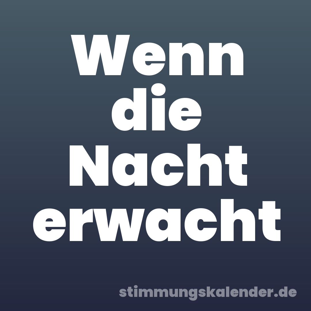 Wenn die Nacht erwacht