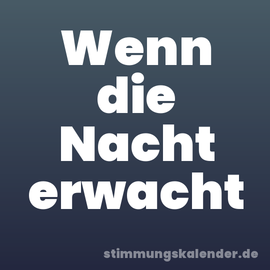 Wenn die Nacht erwacht
