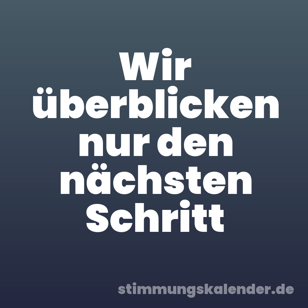 Wir überblicken nur den nächsten Schritt