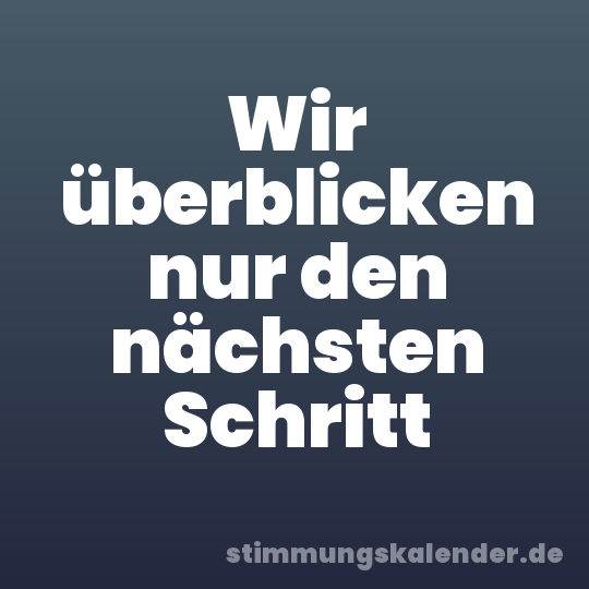 Wir überblicken nur den nächsten Schritt
