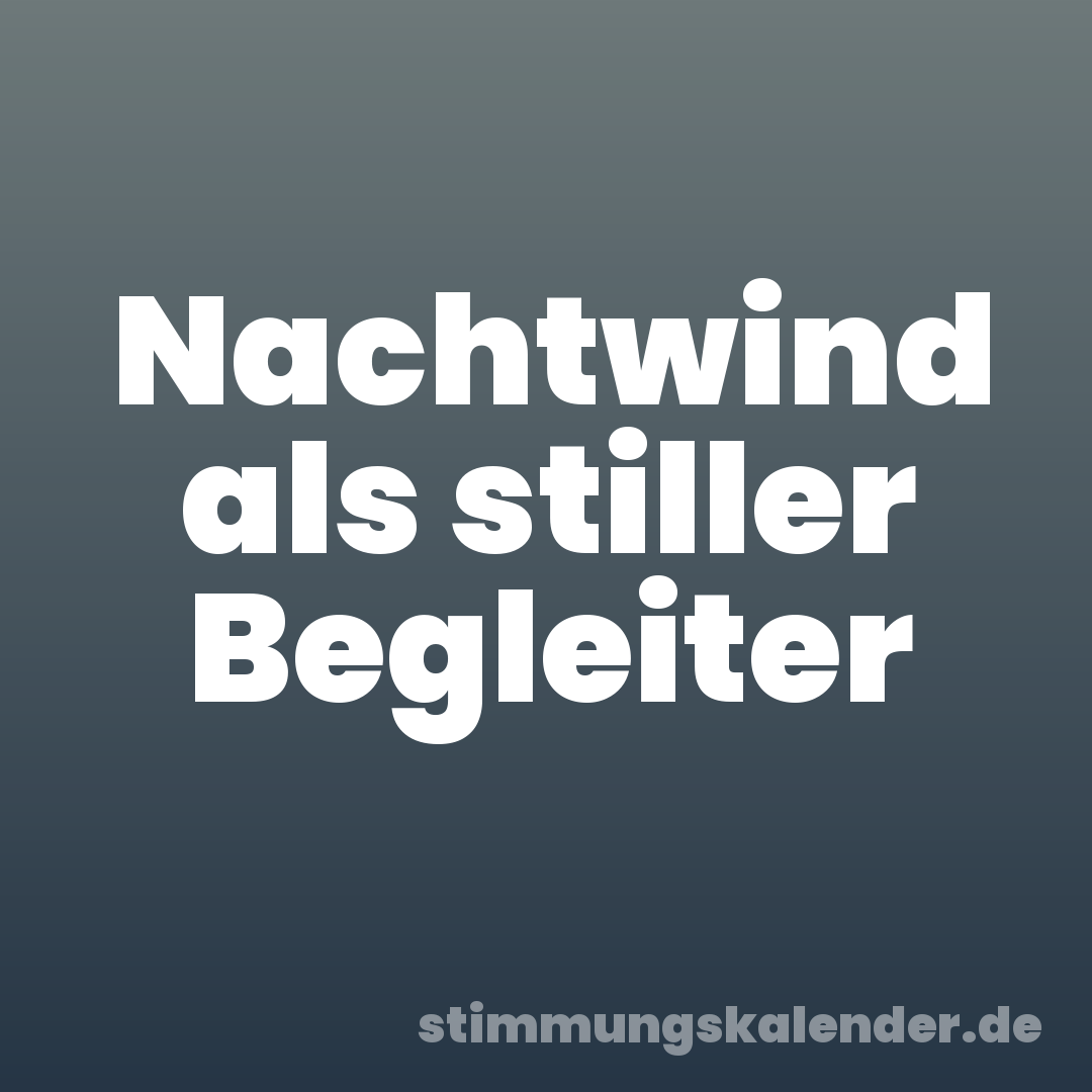 Nachtwind als stiller Begleiter