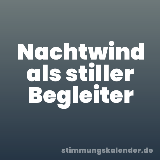Nachtwind als stiller Begleiter