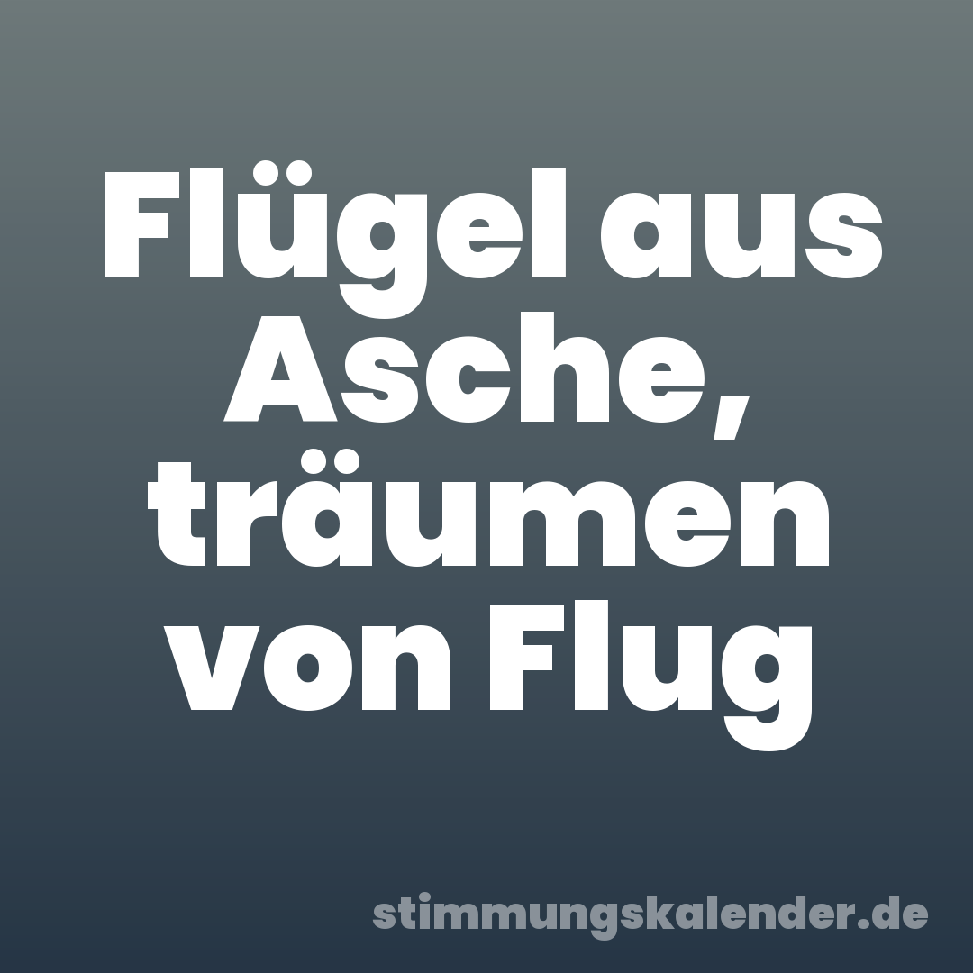 Flügel aus Asche, träumen von Flug