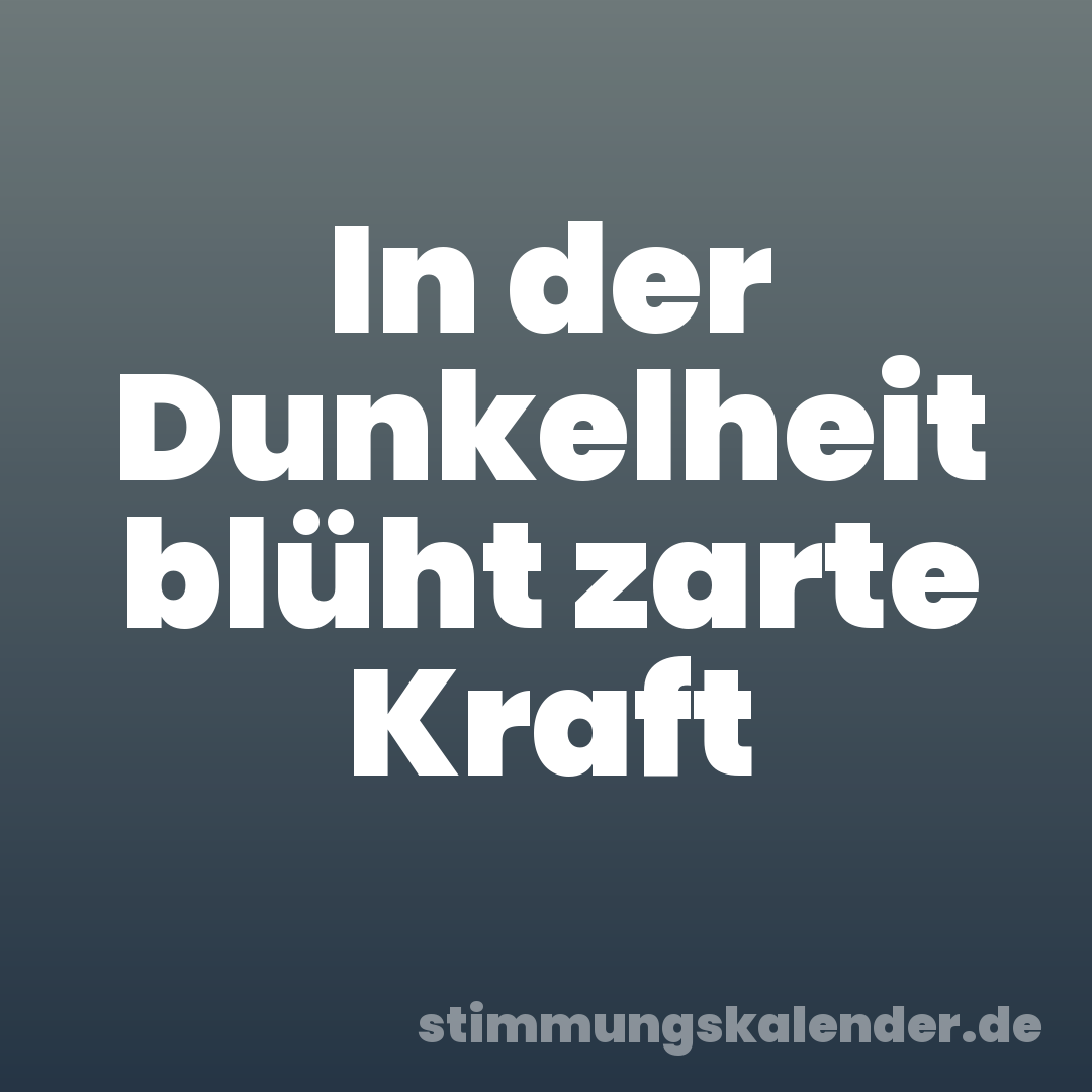 In der Dunkelheit blüht zarte Kraft
