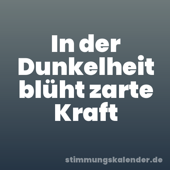 In der Dunkelheit blüht zarte Kraft