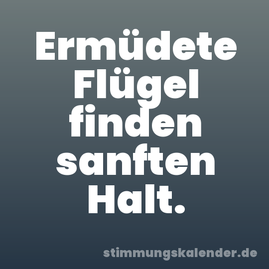 Ermüdete Flügel finden sanften Halt.