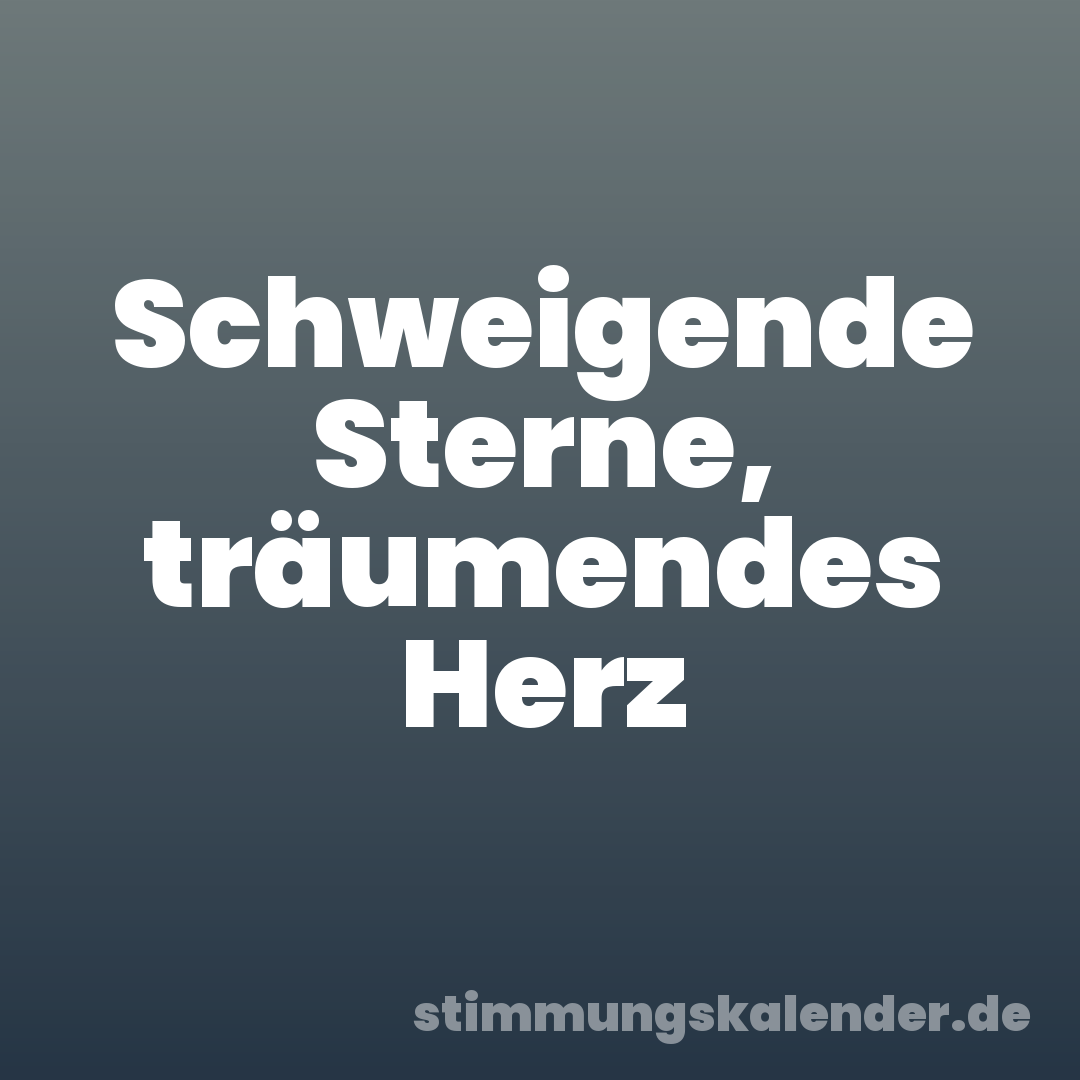 Schweigende Sterne, träumendes Herz