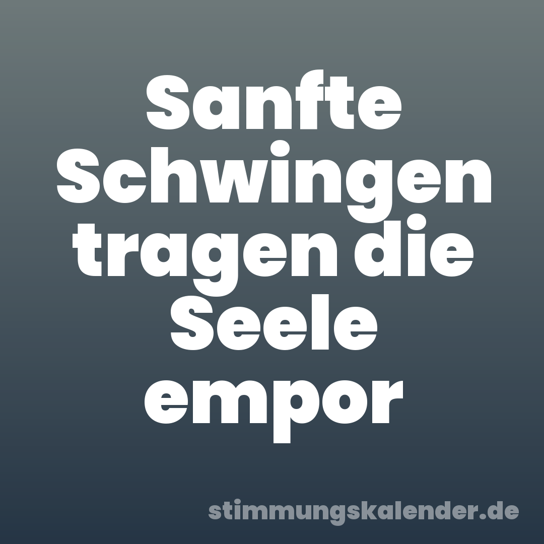 Sanfte Schwingen tragen die Seele empor