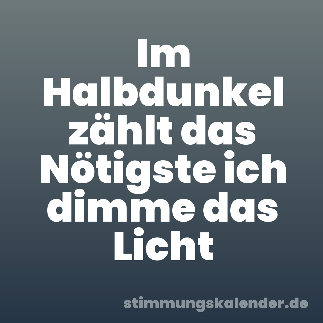 Im Halbdunkel zählt das Nötigste ich dimme das Licht