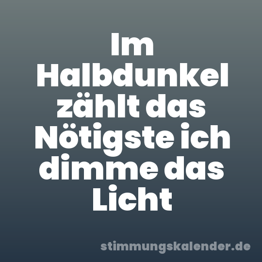 Im Halbdunkel zählt das Nötigste ich dimme das Licht