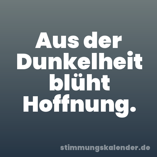 Aus der Dunkelheit blüht Hoffnung.