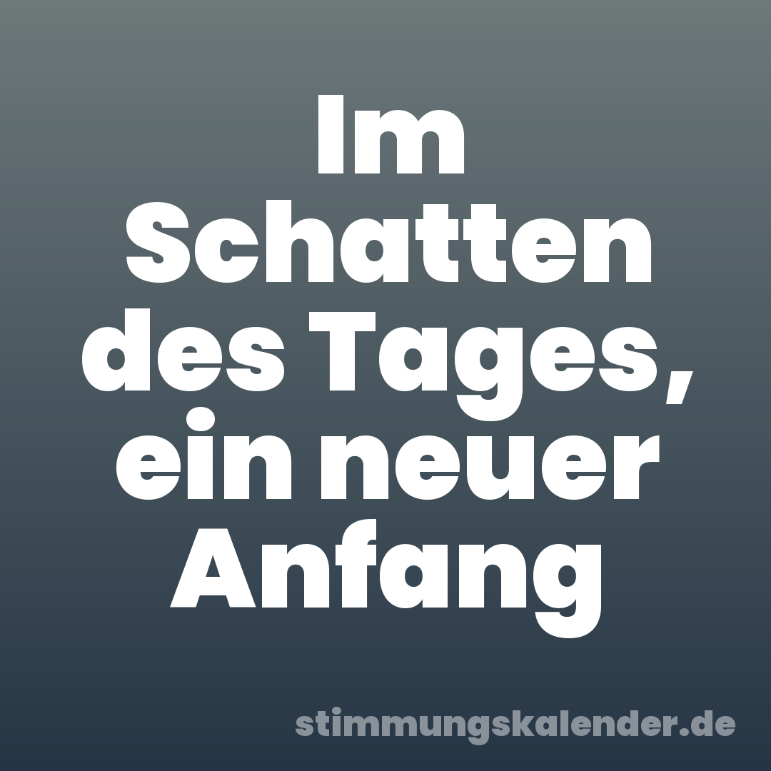 Im Schatten des Tages, ein neuer Anfang