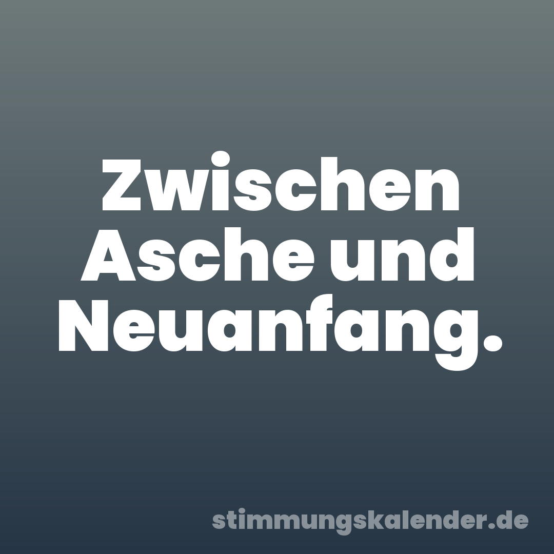 Zwischen Asche und Neuanfang.