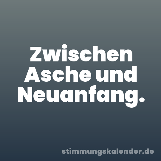 Zwischen Asche und Neuanfang.