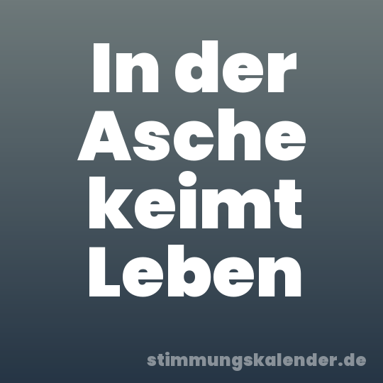 In der Asche keimt Leben