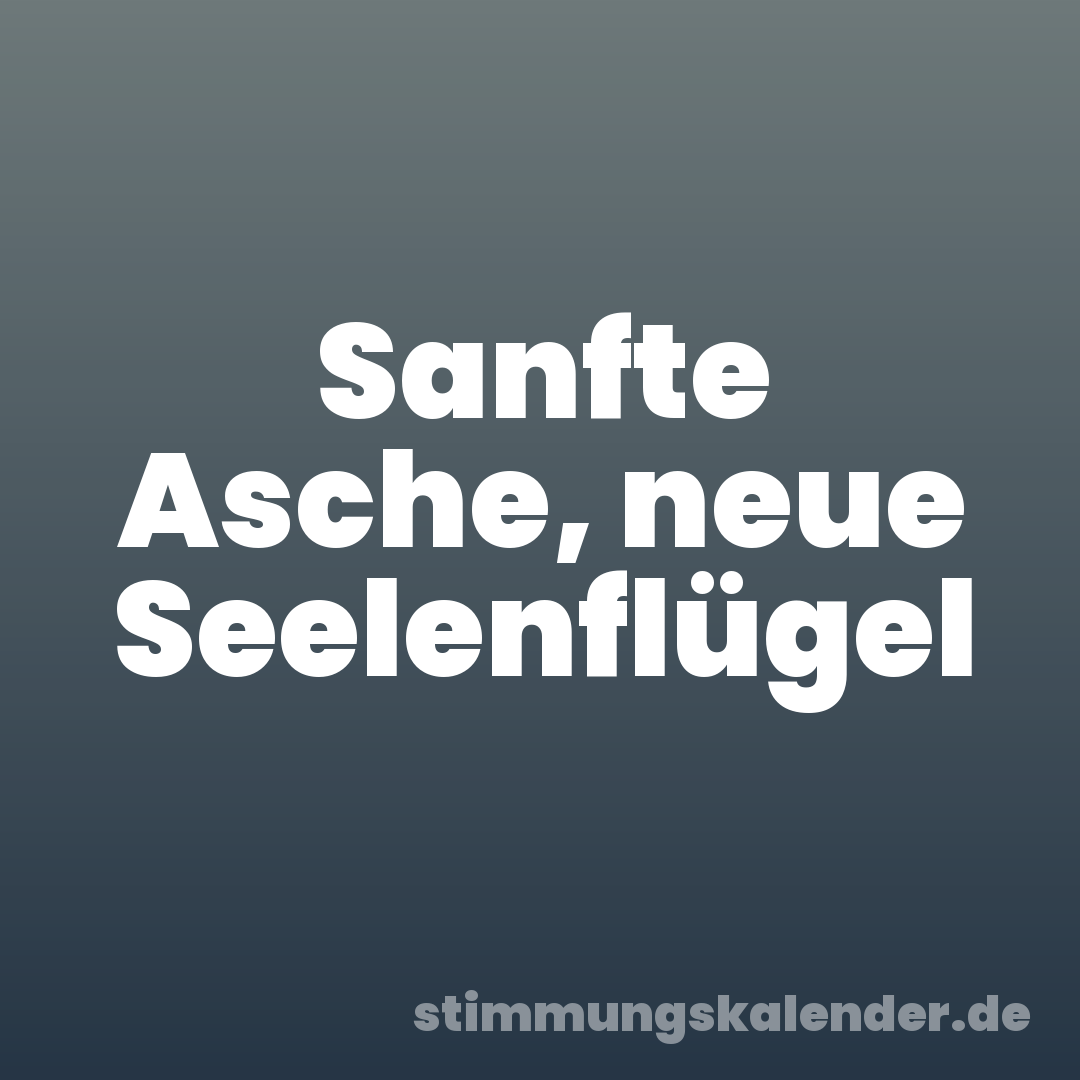 Sanfte Asche, neue Seelenflügel