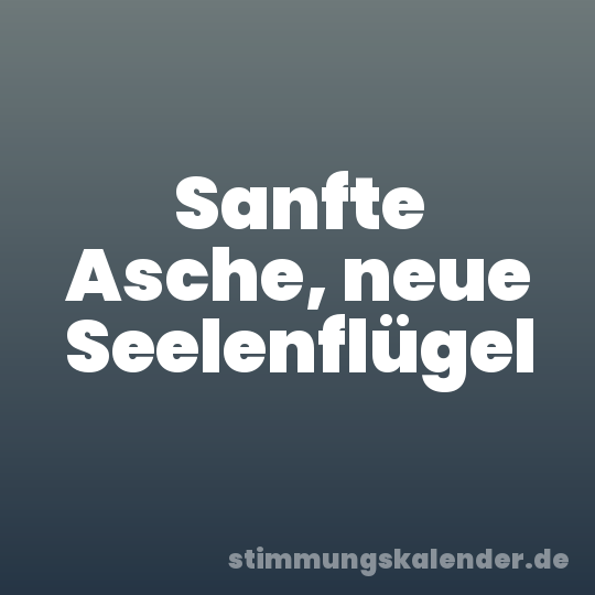 Sanfte Asche, neue Seelenflügel