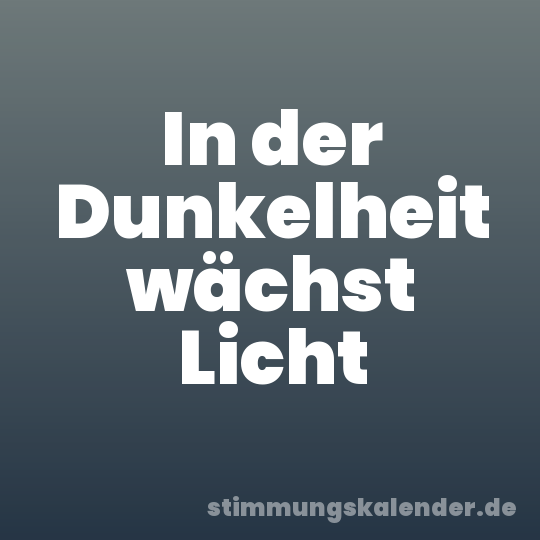 In der Dunkelheit wächst Licht