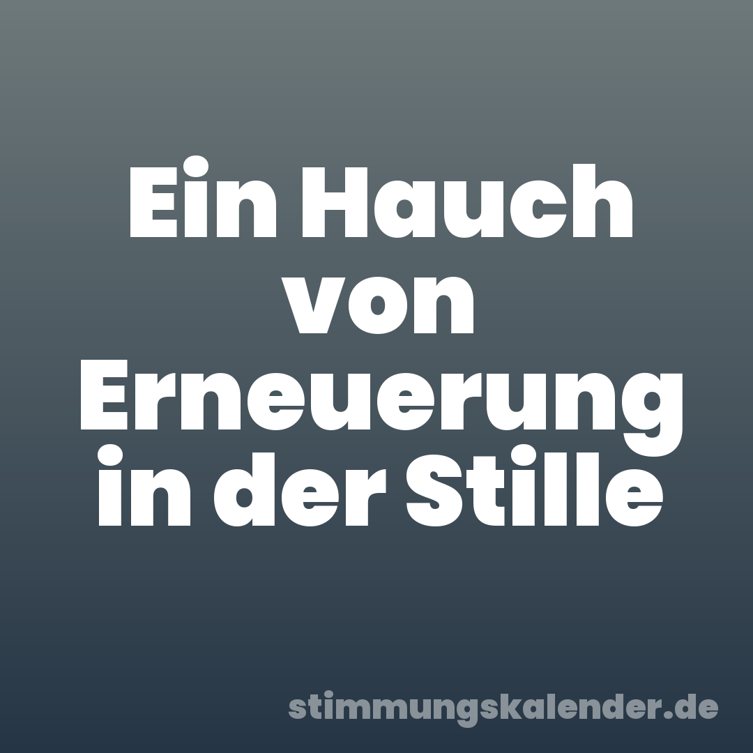 Ein Hauch von Erneuerung in der Stille