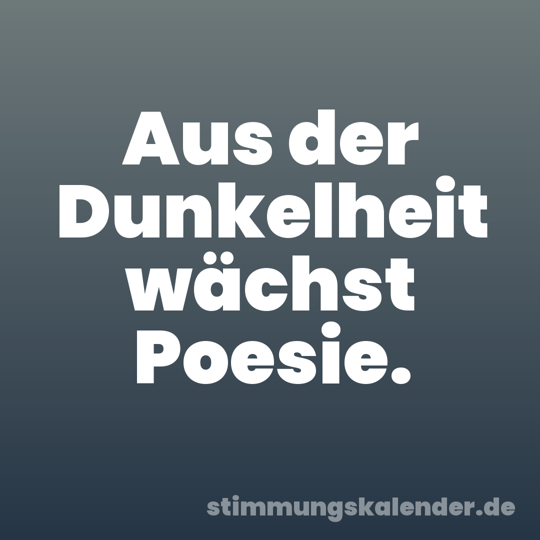 Aus der Dunkelheit wächst Poesie.