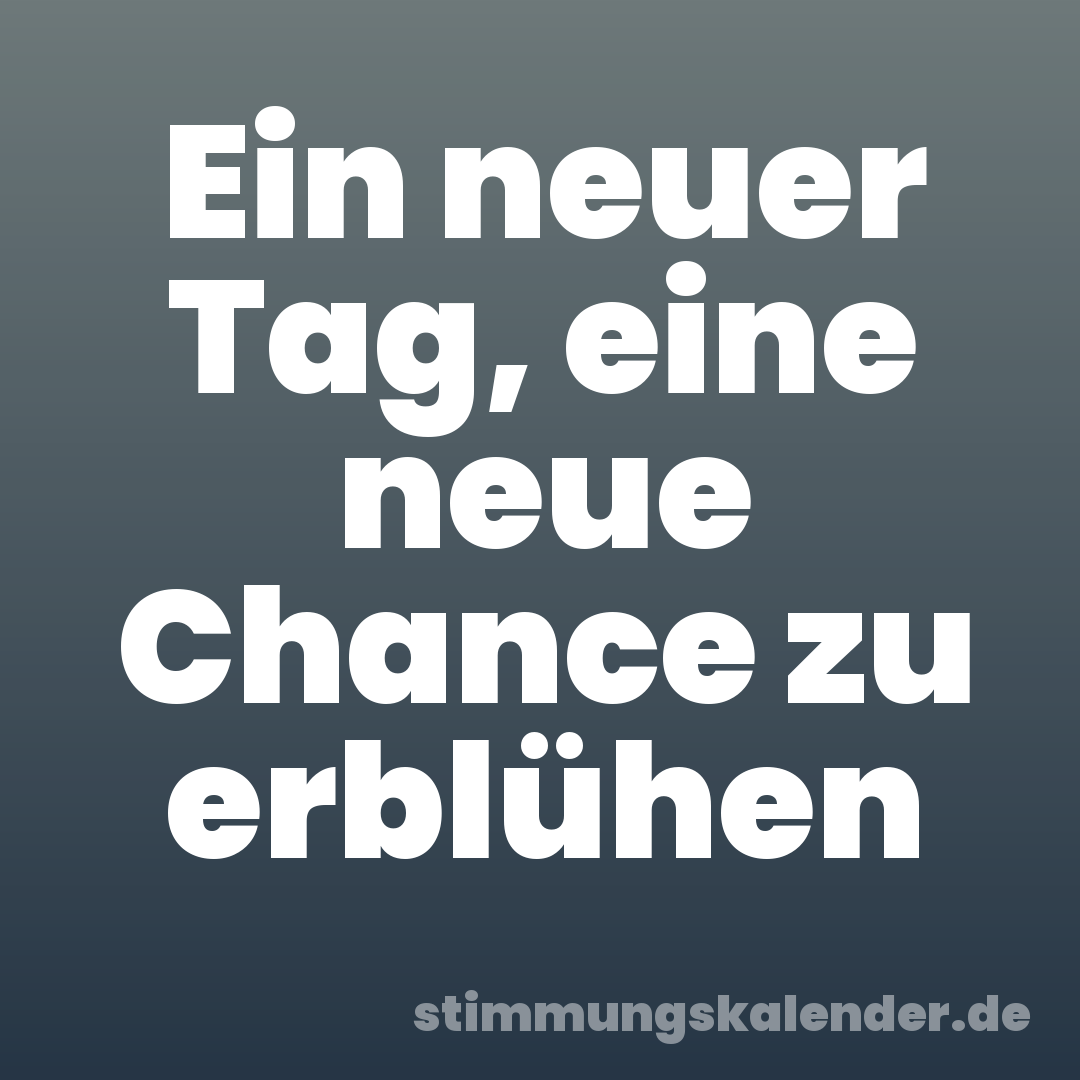 Ein neuer Tag, eine neue Chance zu erblühen