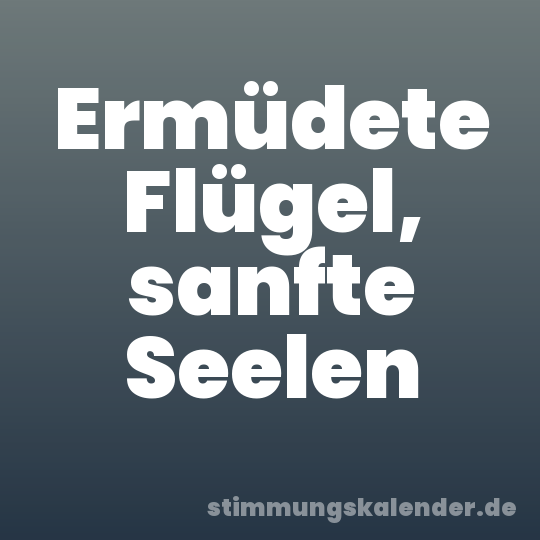 Ermüdete Flügel, sanfte Seelen