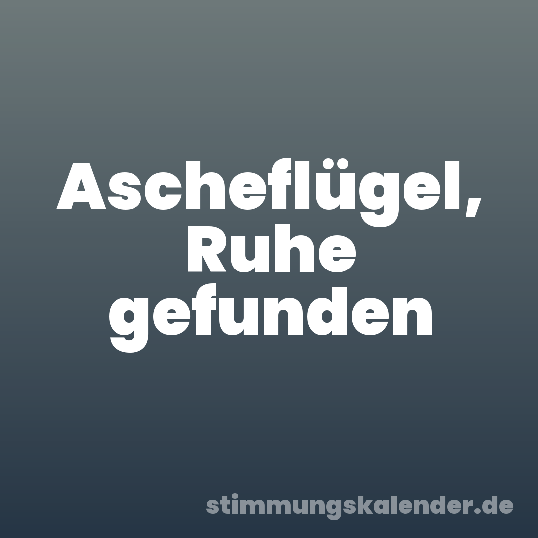 Ascheflügel, Ruhe gefunden