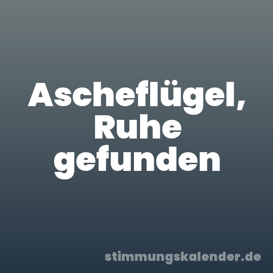 Ascheflügel, Ruhe gefunden