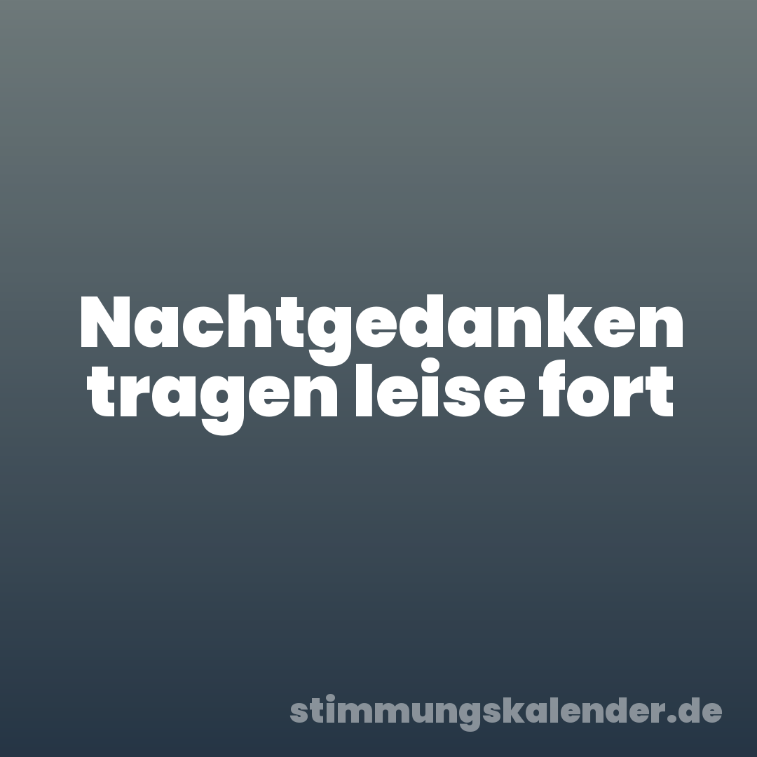 Nachtgedanken tragen leise fort