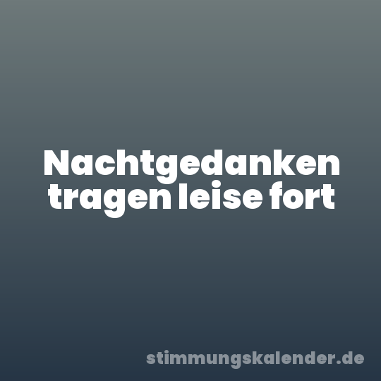 Nachtgedanken tragen leise fort