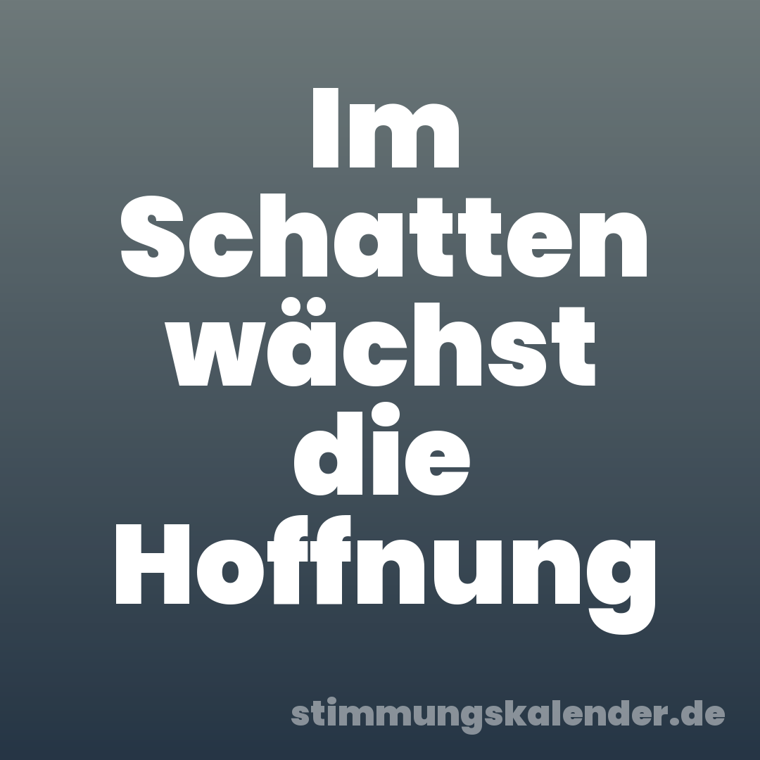Im Schatten wächst die Hoffnung