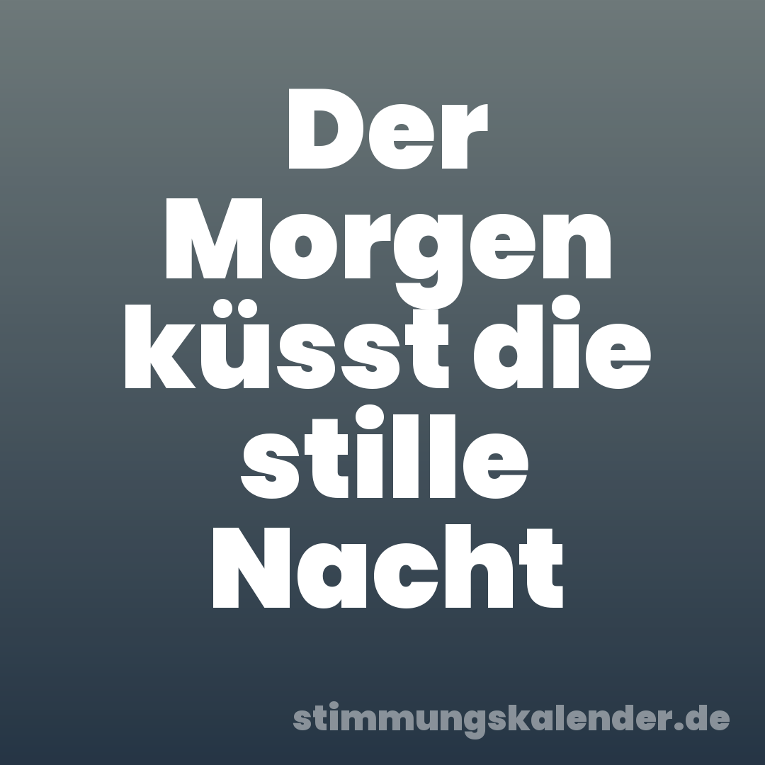 Der Morgen küsst die stille Nacht