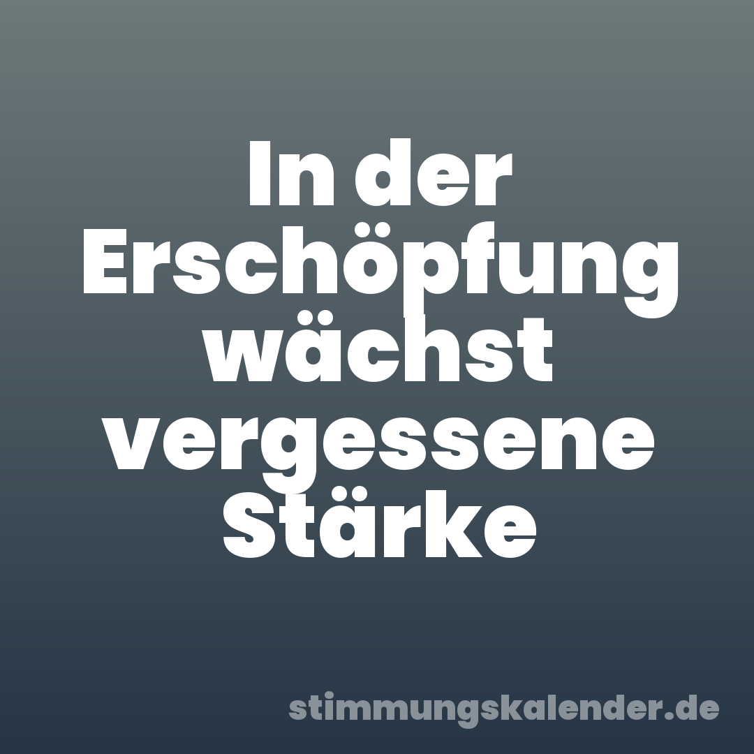 In der Erschöpfung wächst vergessene Stärke