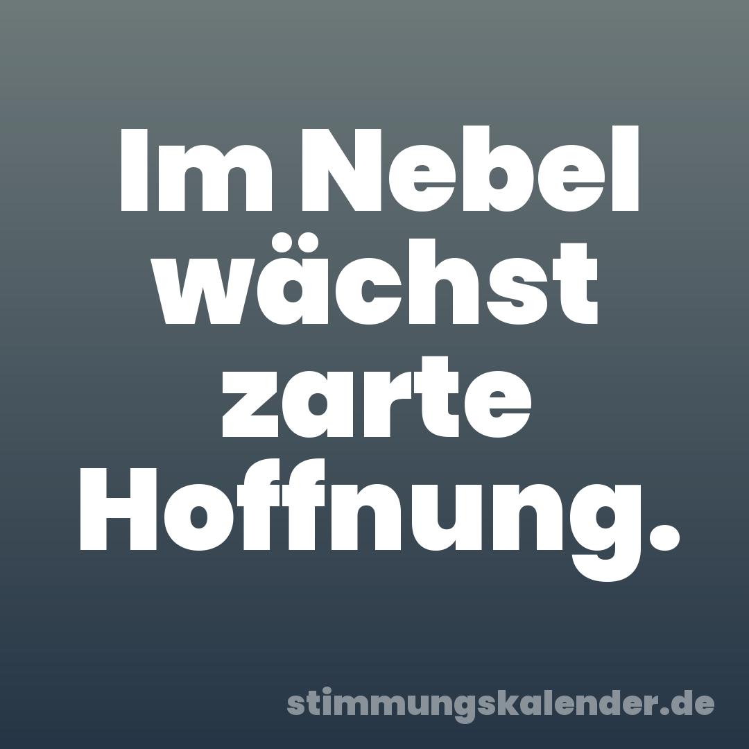 Im Nebel wächst zarte Hoffnung.