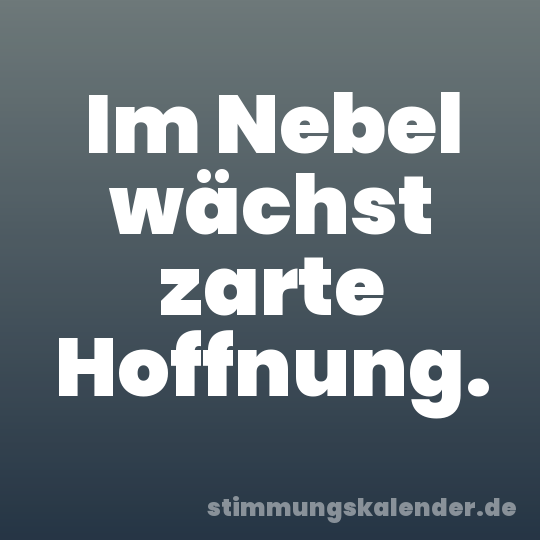 Im Nebel wächst zarte Hoffnung.