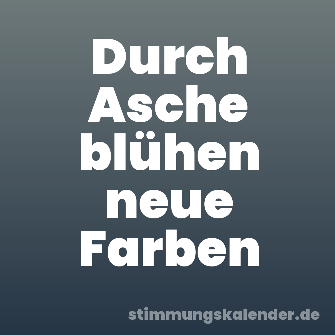 Durch Asche blühen neue Farben