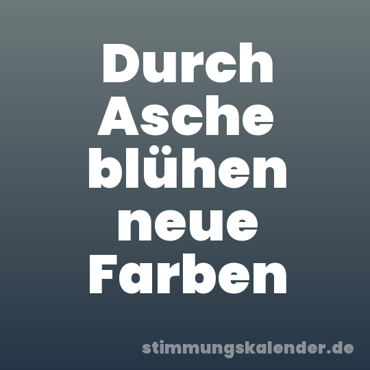 Durch Asche blühen neue Farben