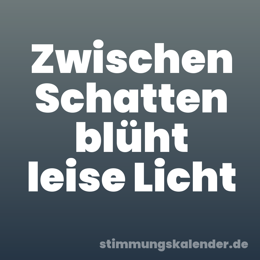 Zwischen Schatten blüht leise Licht