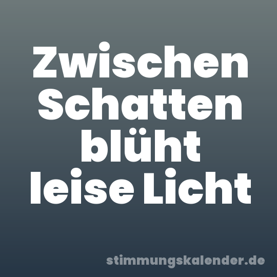 Zwischen Schatten blüht leise Licht